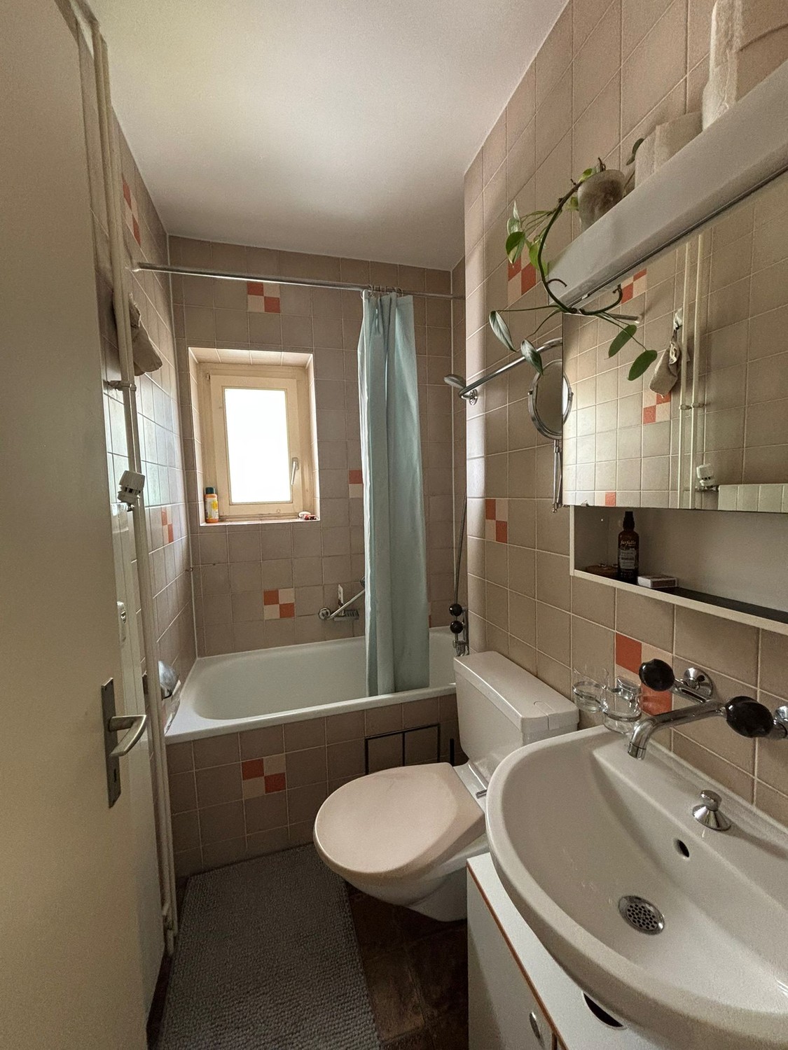 2 ½ Zimmer-Wohnung