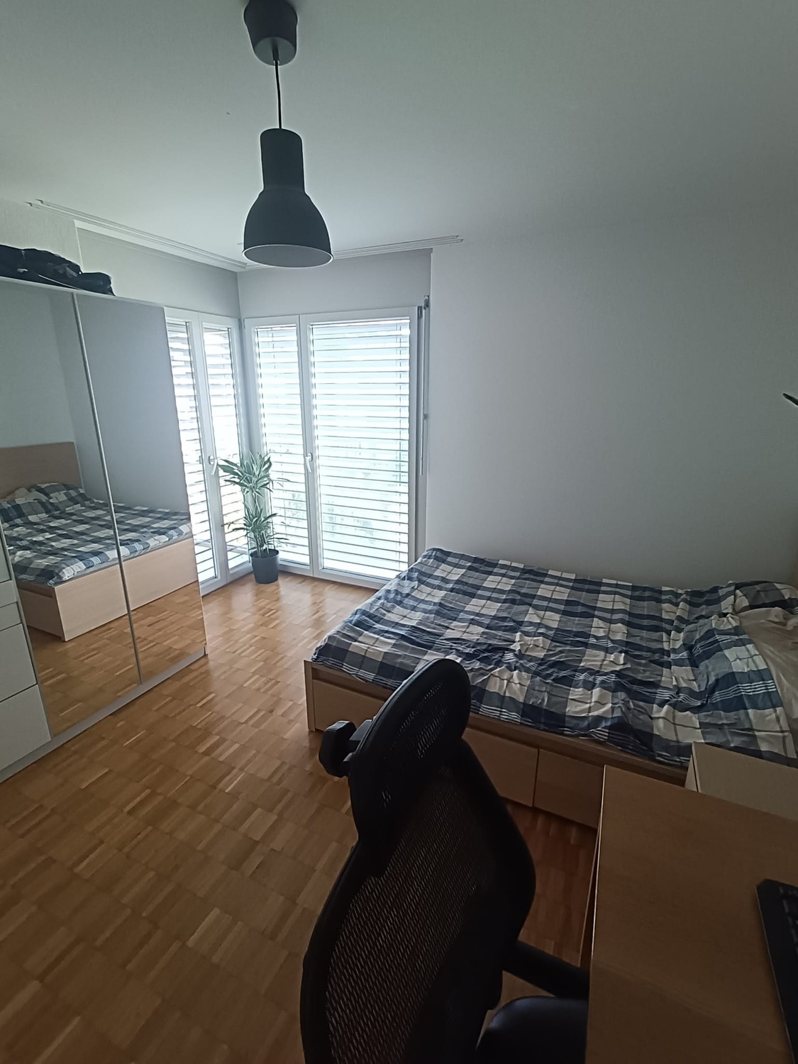 Room in a shared flat