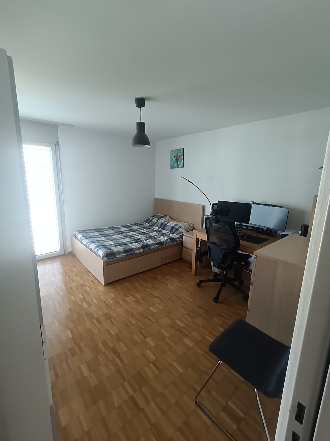 Room in a shared flat