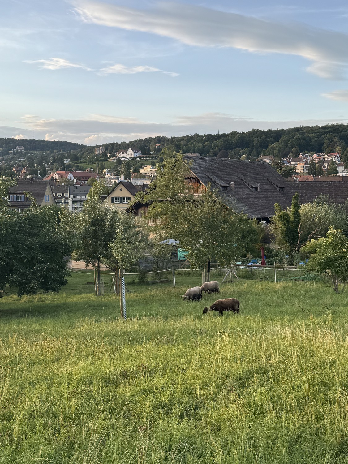 3 ½ Zimmer-Wohnung, Foto 8 von 8