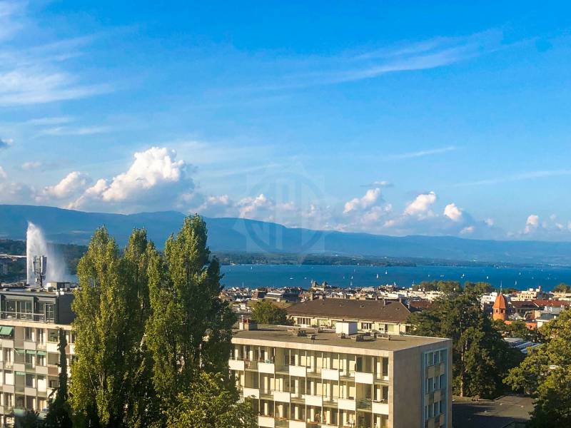 Appartamento di 5 ½ locali