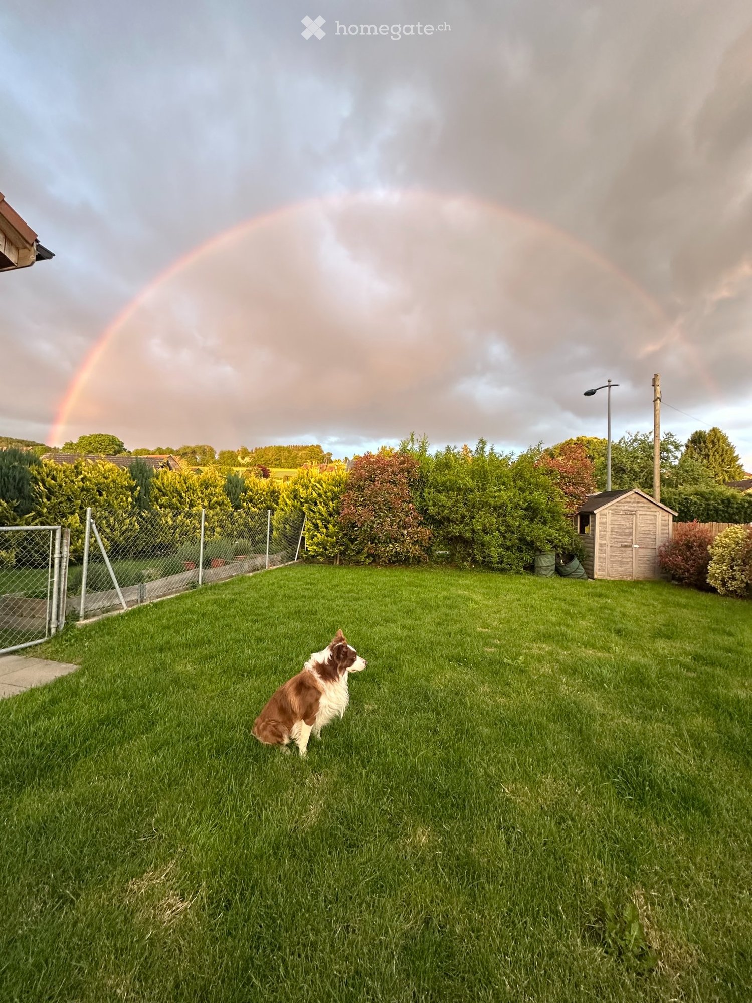 5 ½ Zimmer Einfamilienhaus, Foto 5 von 5