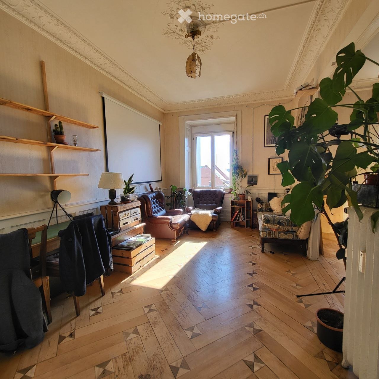2 ½ Zimmer-Wohnung