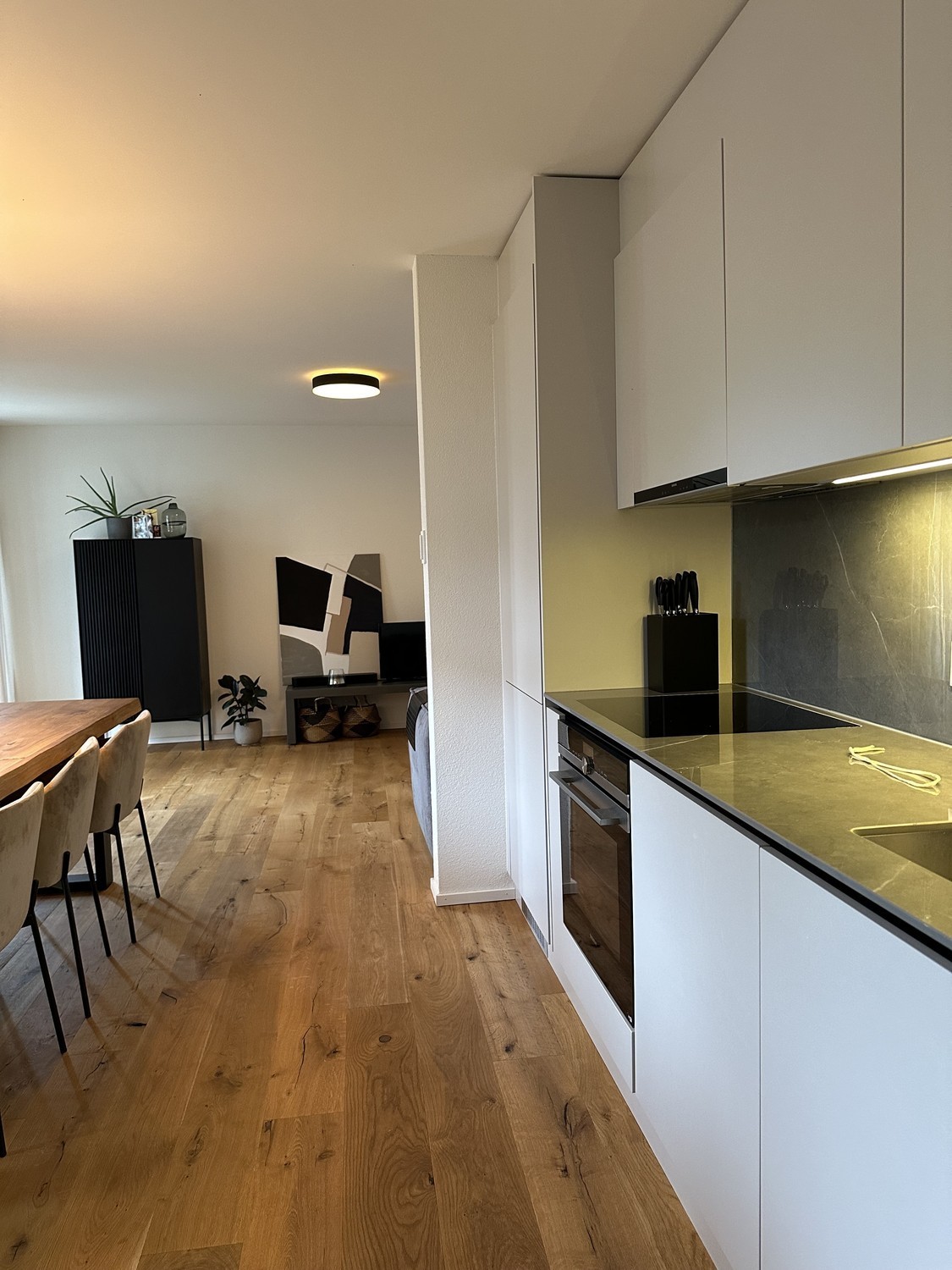 3 ½ Zimmer Wohnung