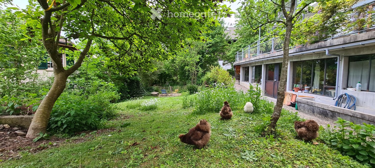 Appartamento di 2 ½ locali