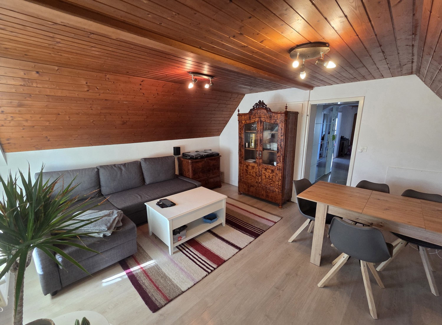 Appartamento di 4 ½ locali