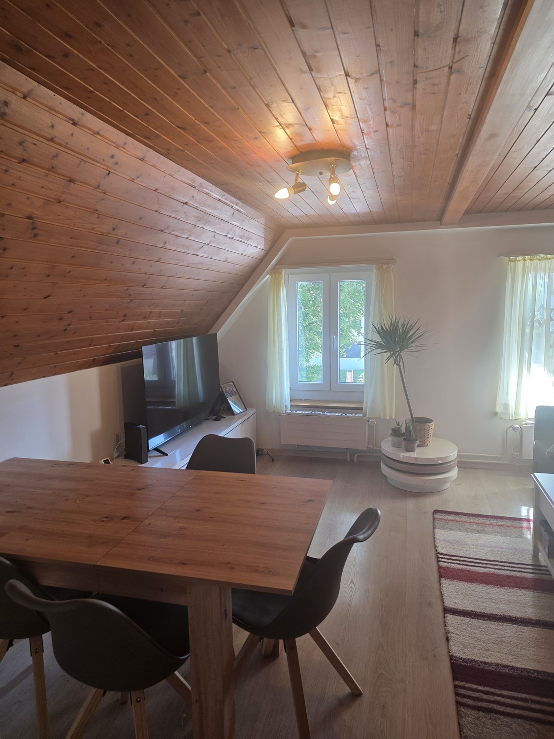 Appartamento di 4 ½ locali