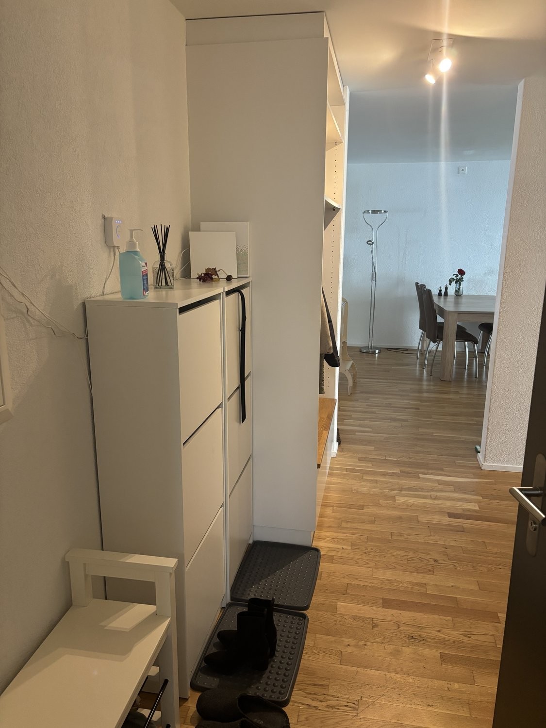 4 ½ rooms furnished flat