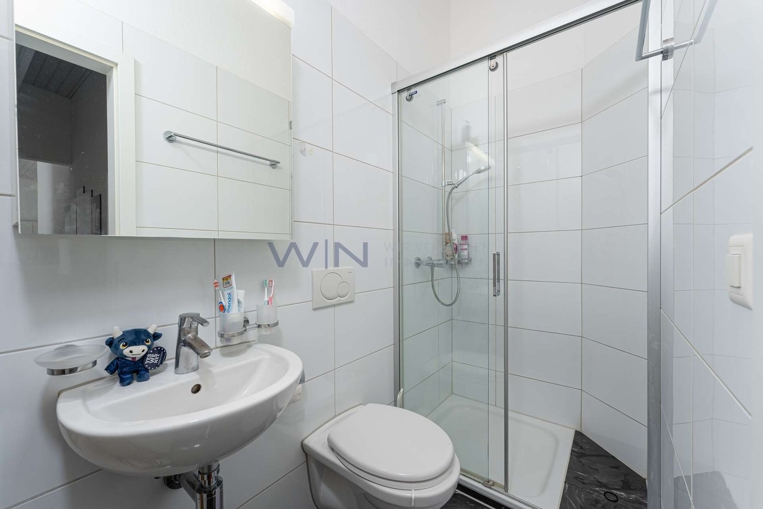Attico di 6 ½ locali, foto 10 di 10