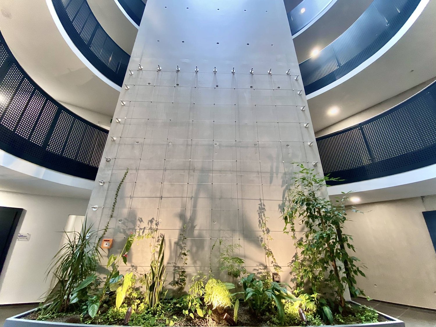 303m² commercial