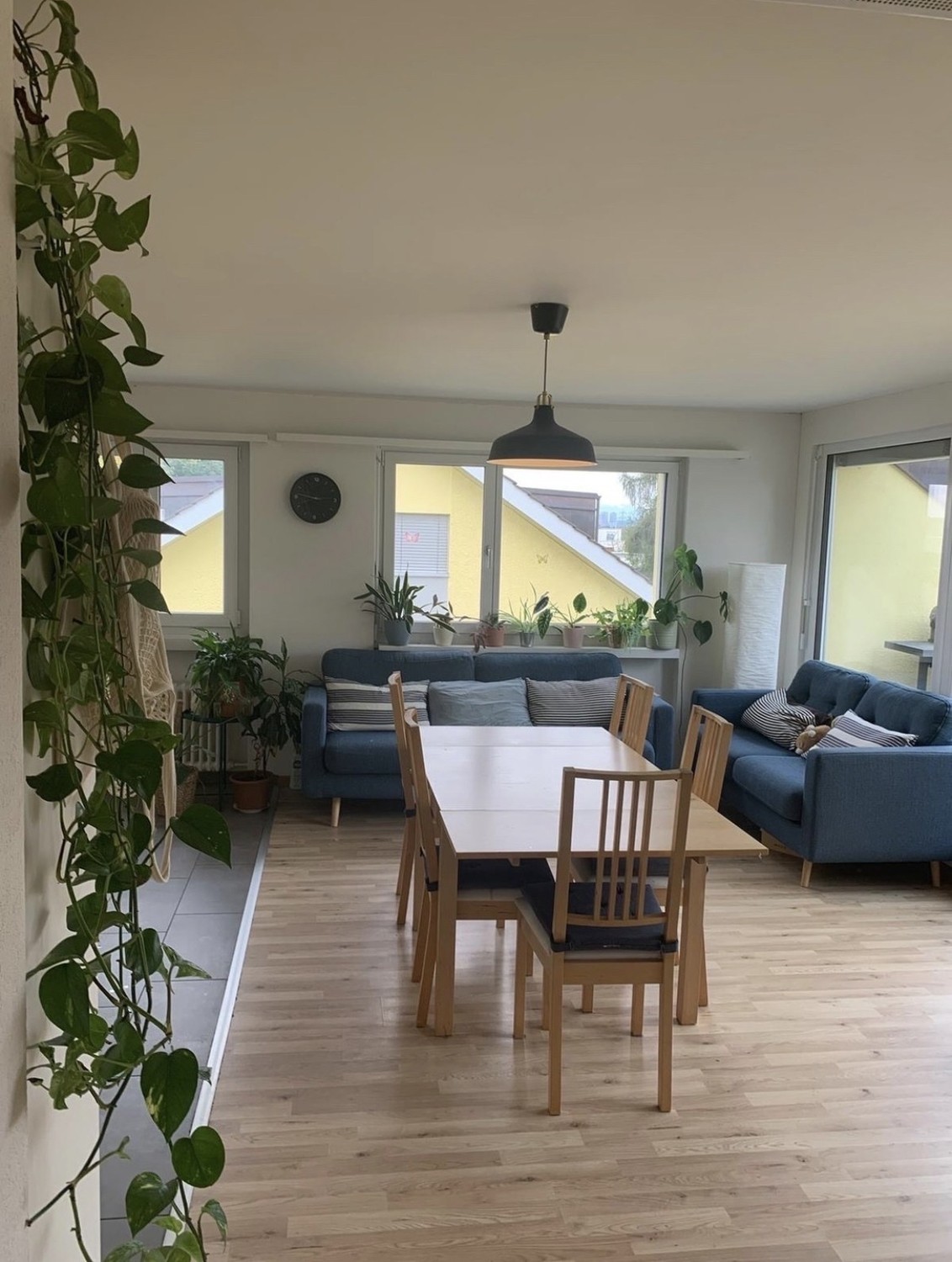1 room apartment