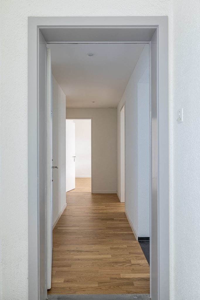 2 ½ pièces appartement