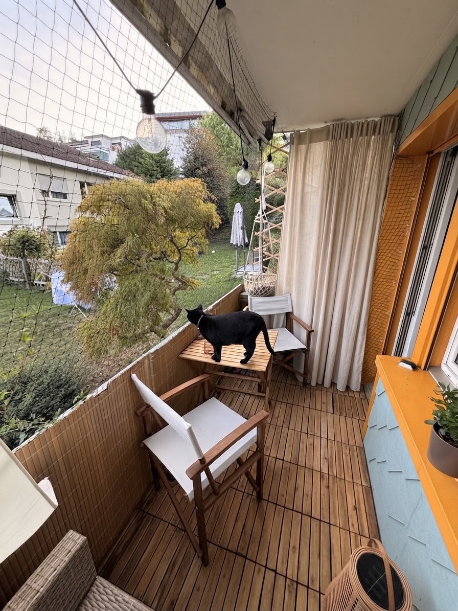 2 ½ rooms apartment, Foto 5 von 5