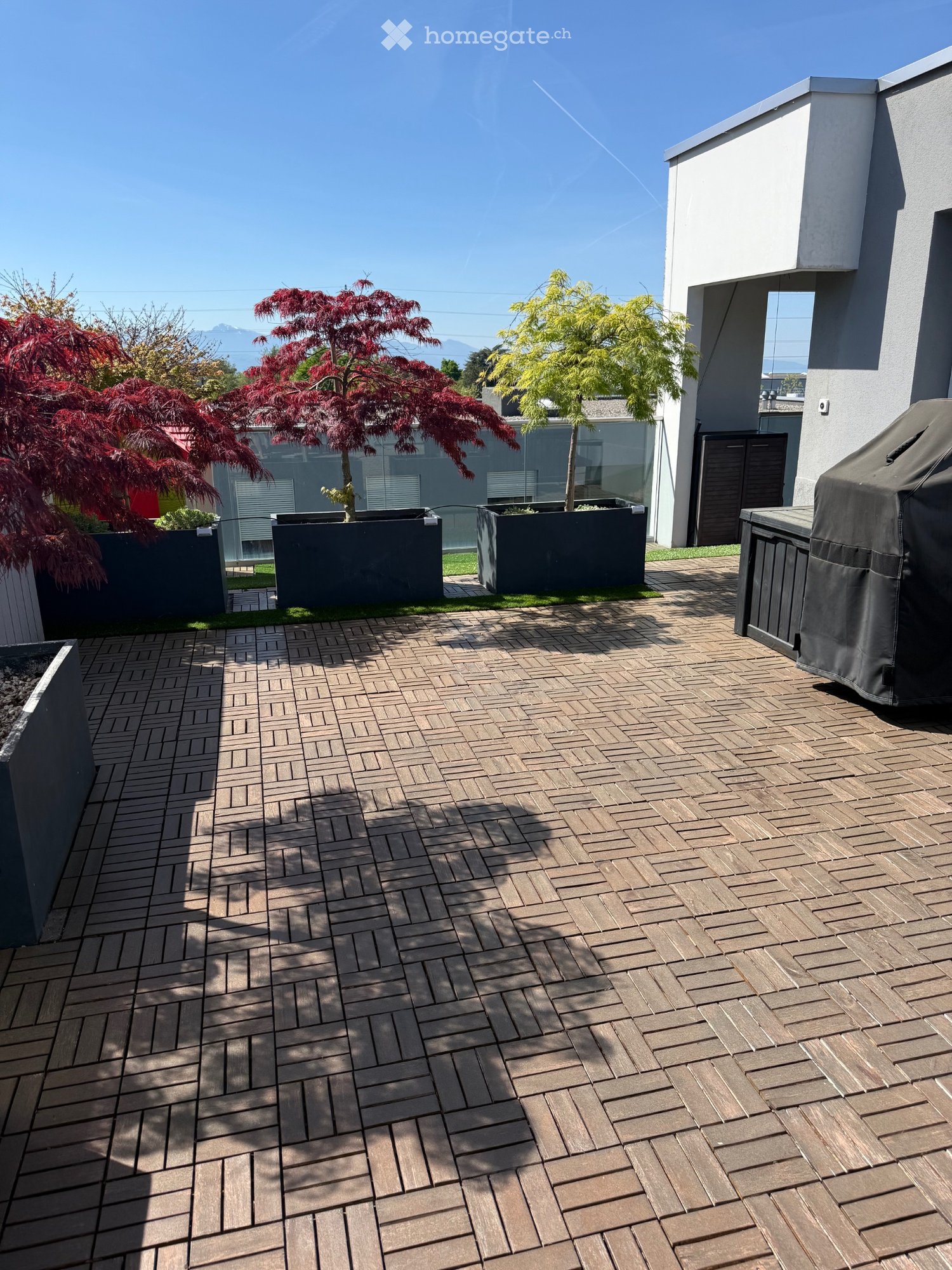 3 ½ Zimmer Wohnung