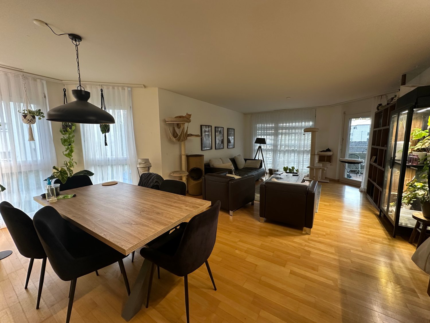 Room in a shared flat