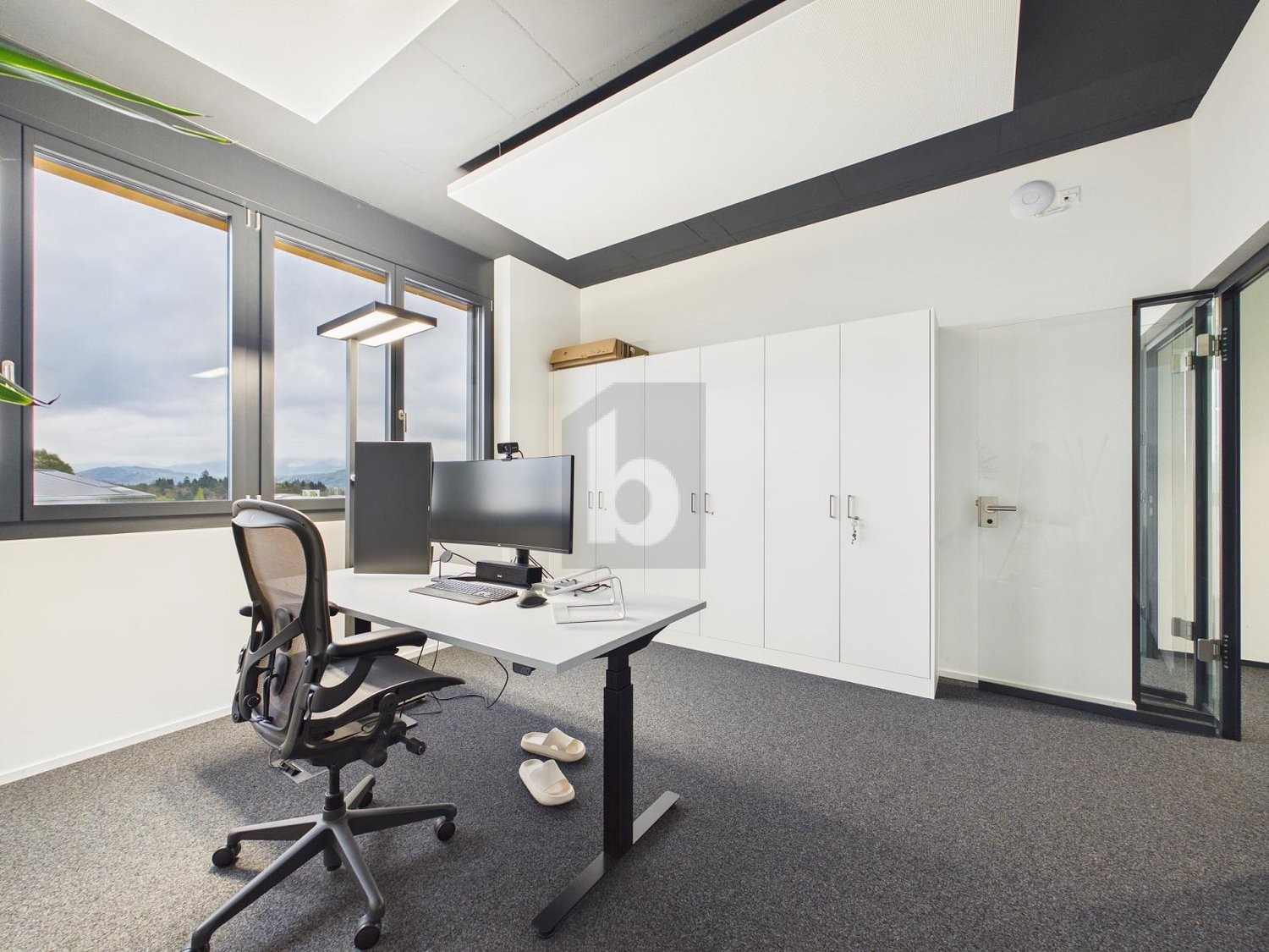 243m² ufficio