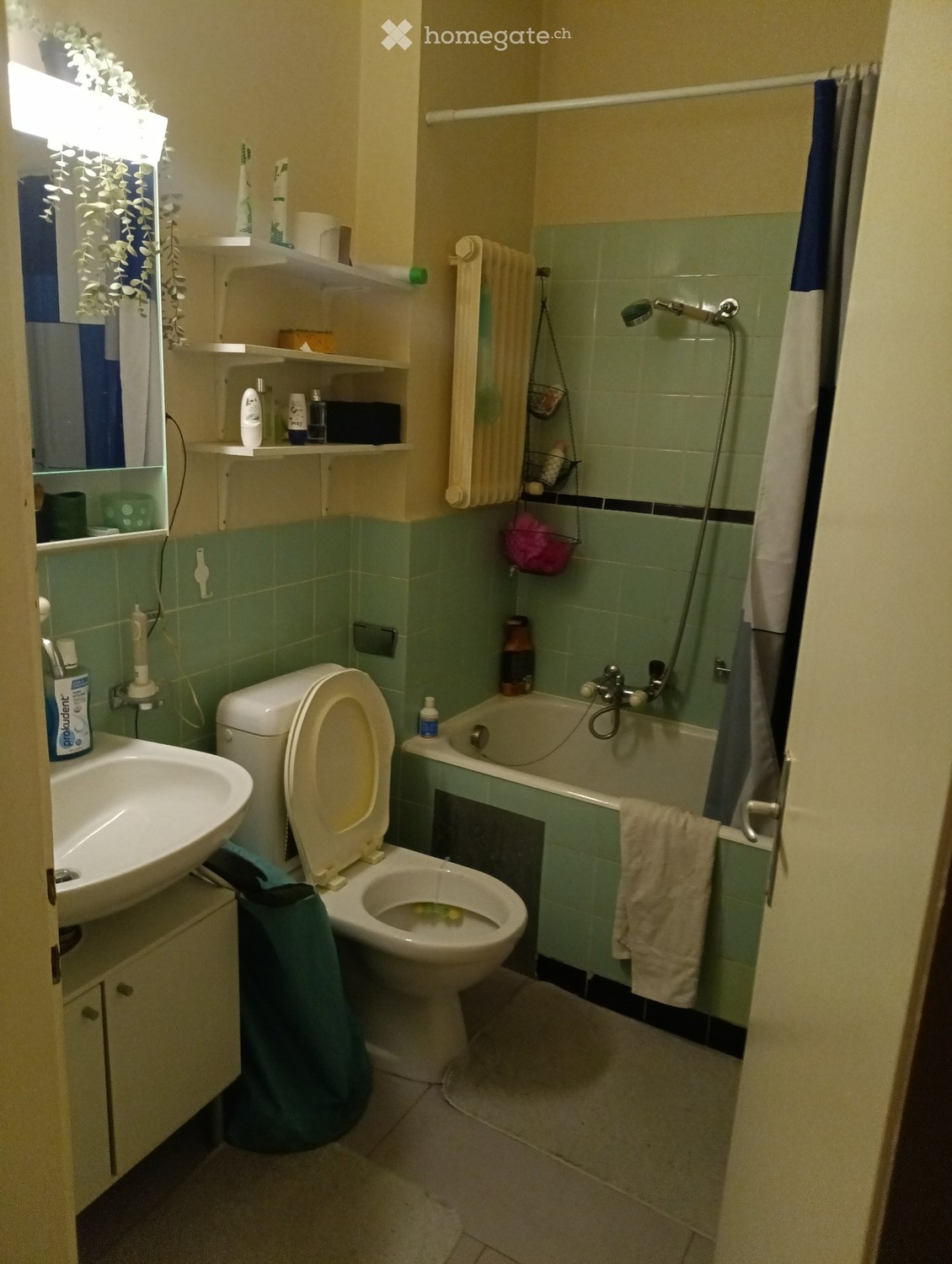 Room in a shared flat