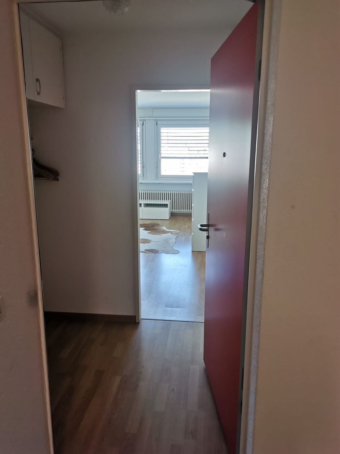 1 room apartment, Foto 1 von 3