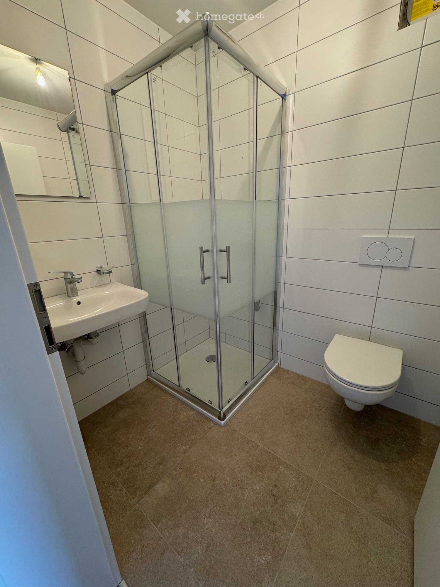 3 ½ Zimmer Wohnung