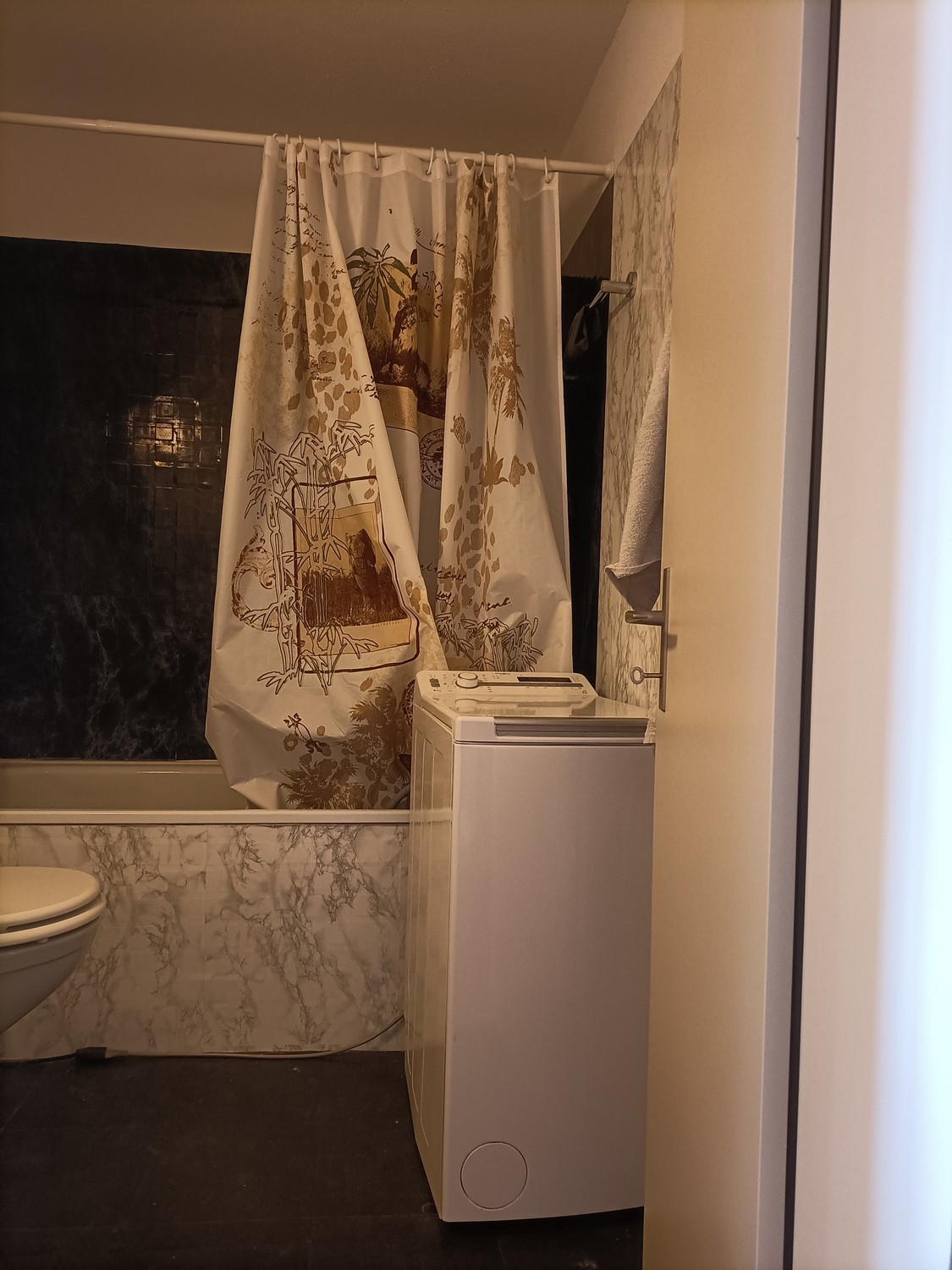 2 ½ Zimmer Wohnung