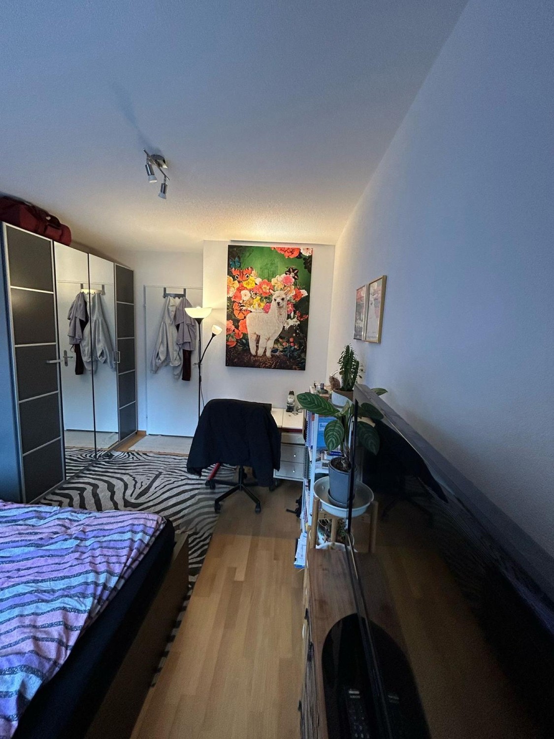 4 ½ rooms apartment