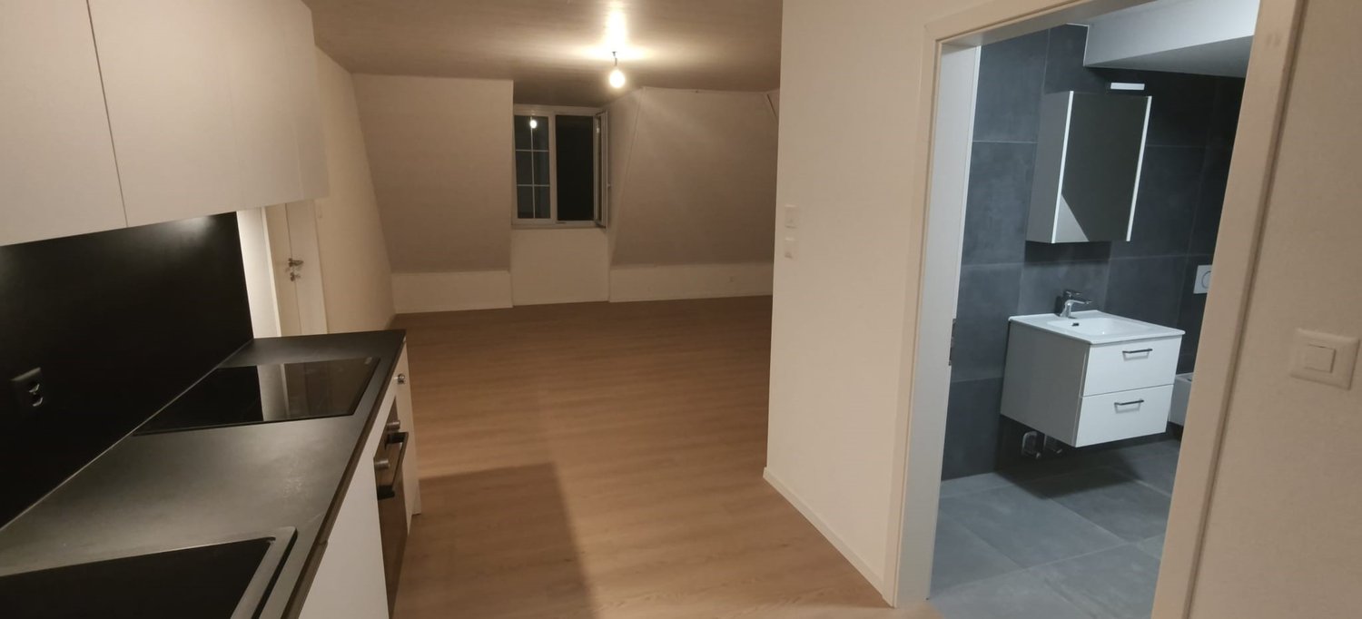 2 ½ Zimmer Dachwohnung