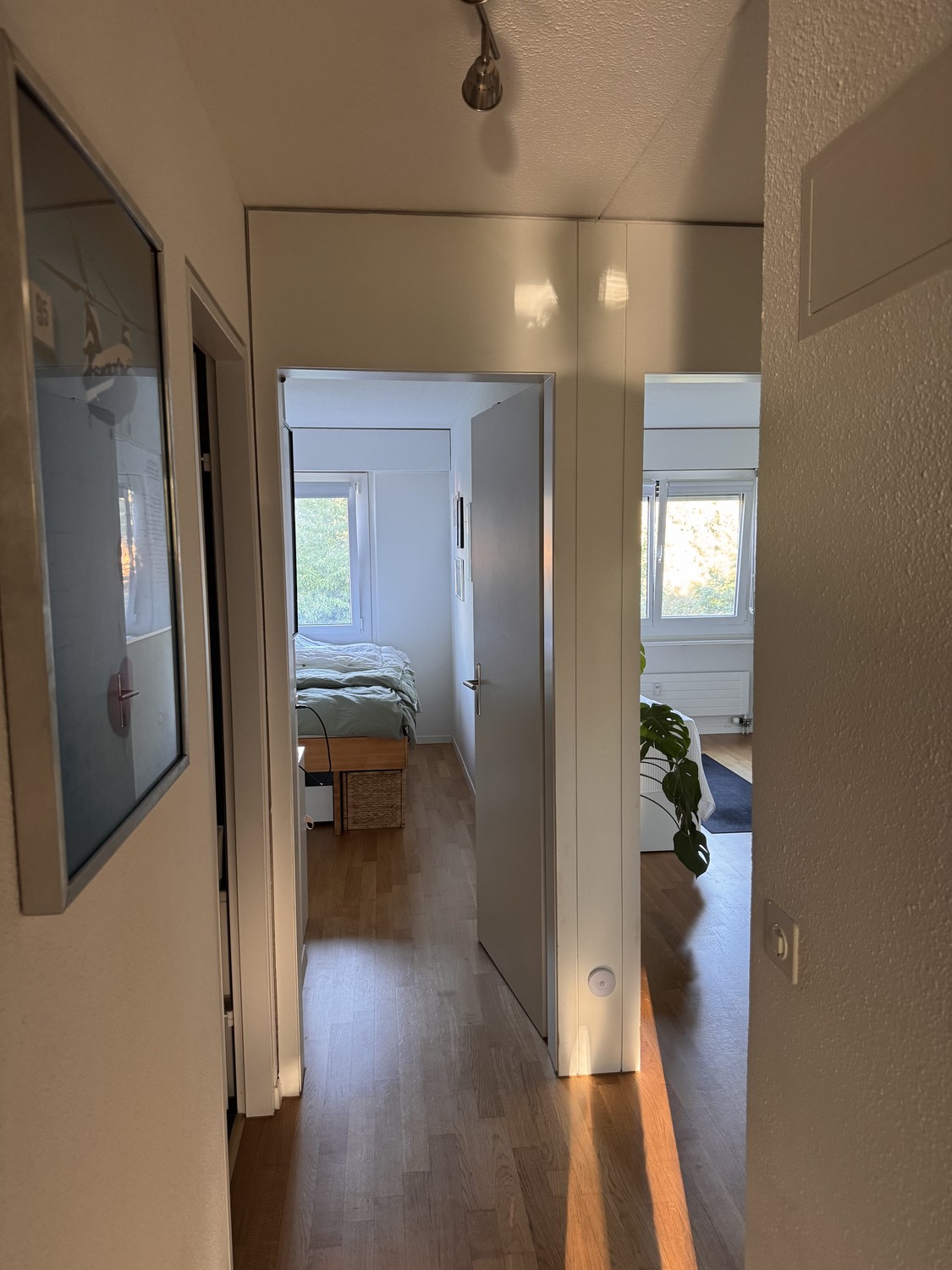 Appartamento di 2 ½ locali