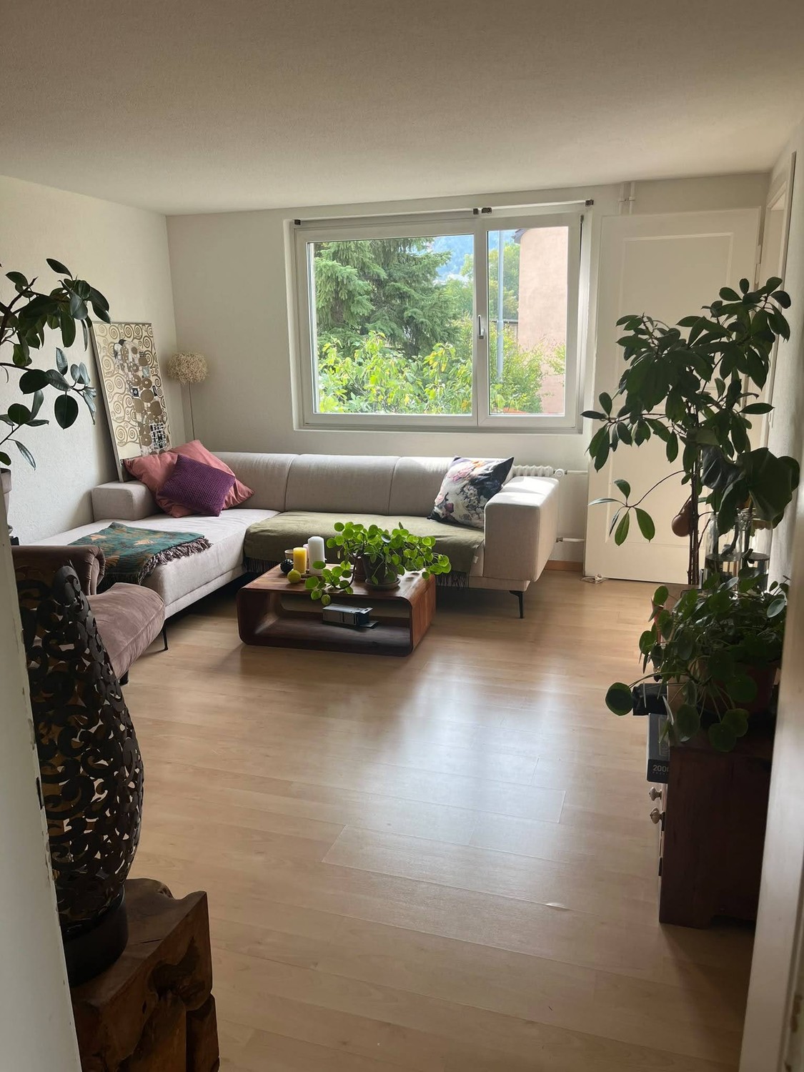 Room in a shared flat
