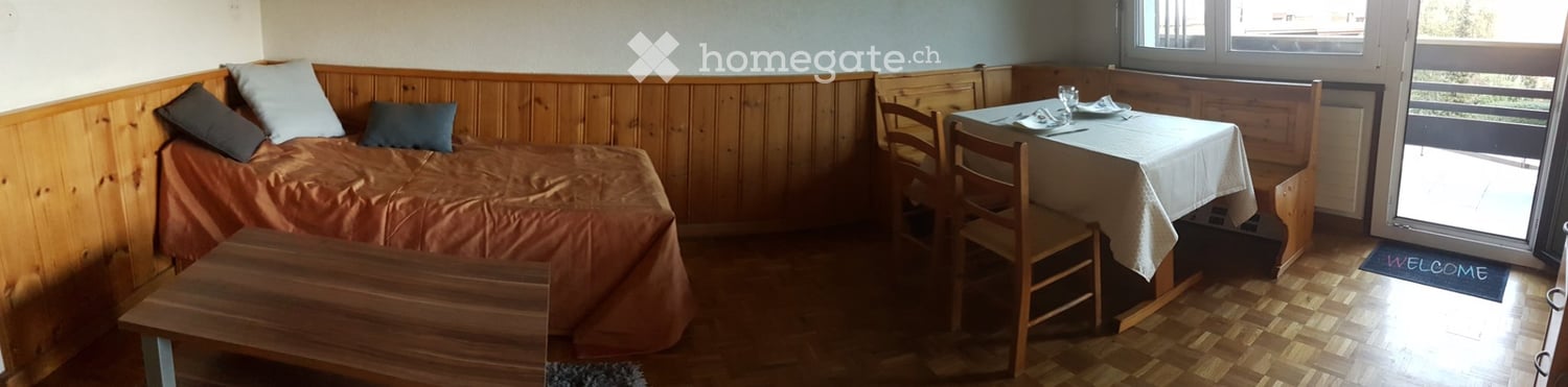 1 ½ rooms apartment, photo 3 sur 4