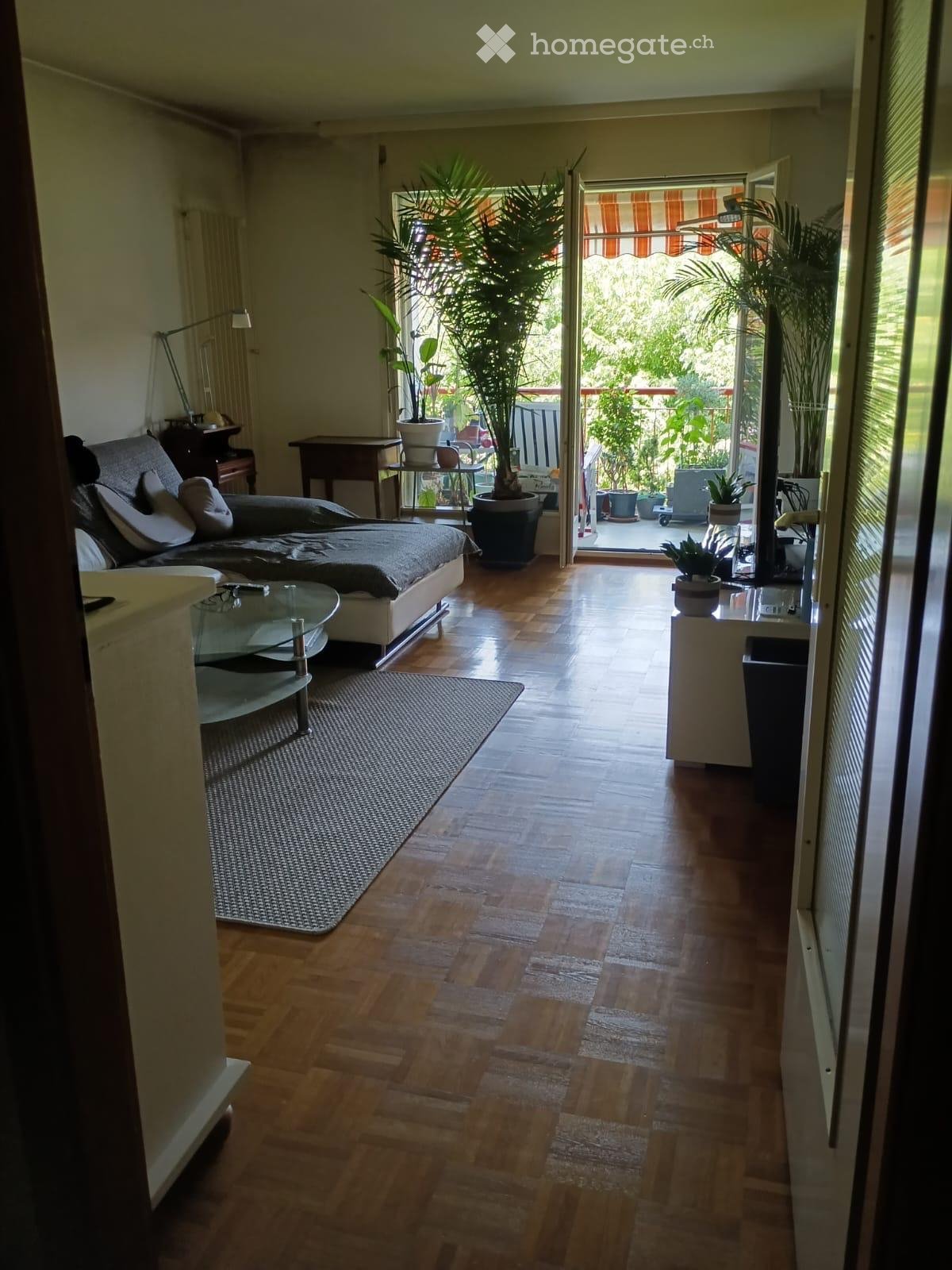 3 ½ Zimmer-Wohnung