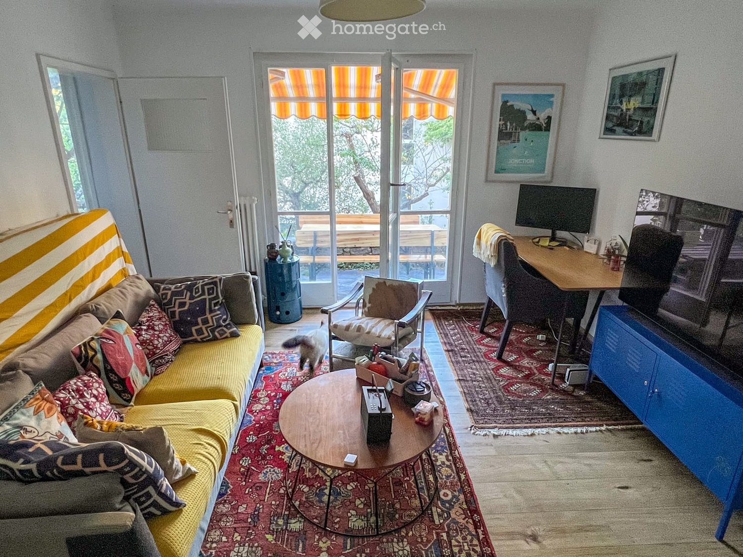 1 Zimmer Einzelzimmer