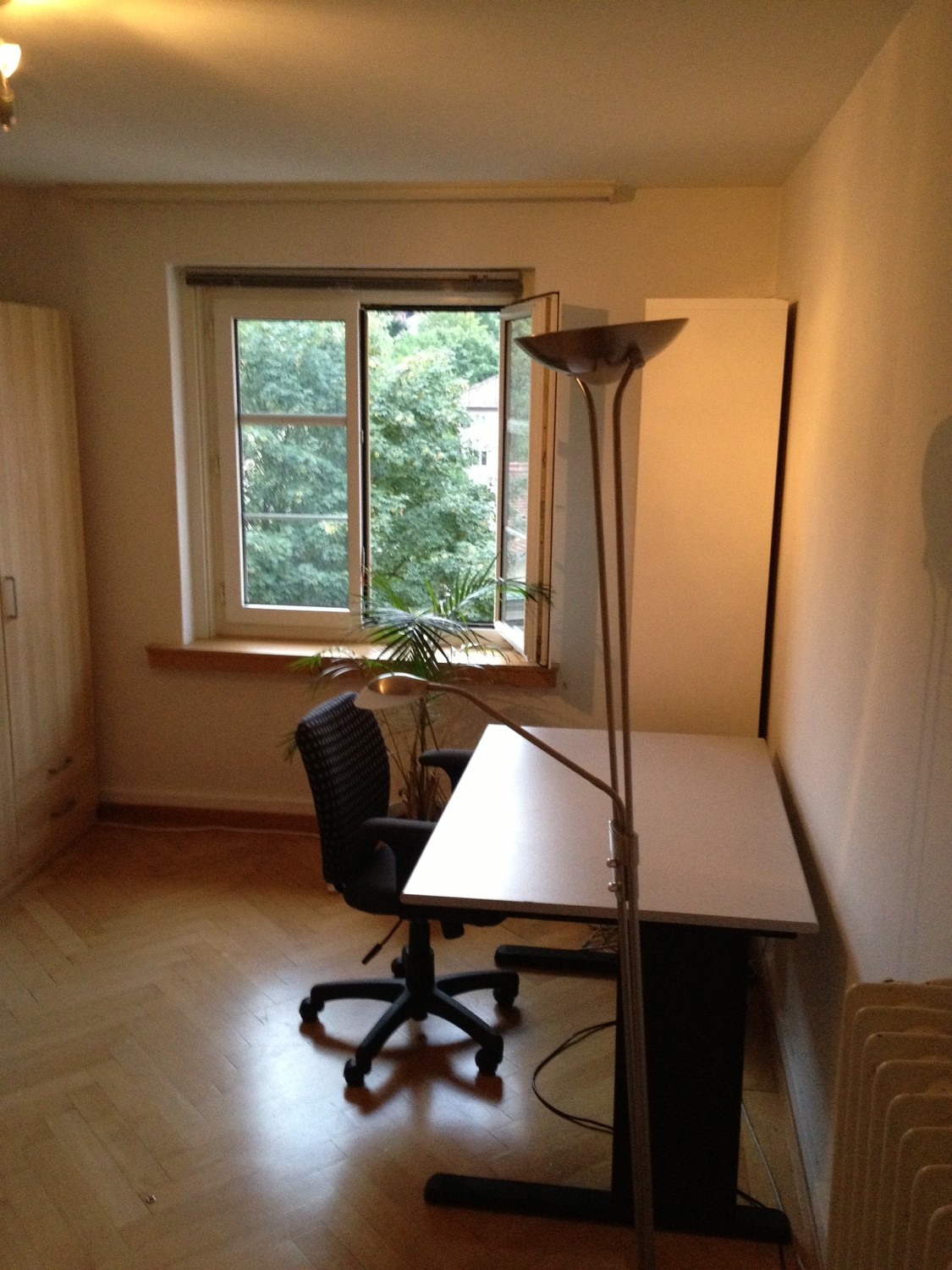 Room in a shared flat