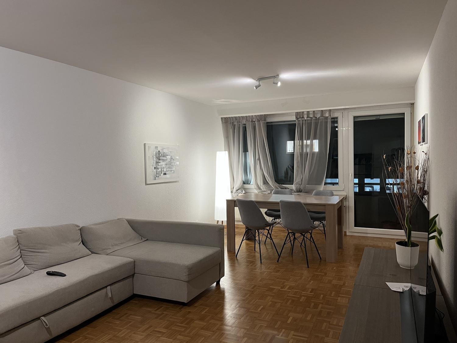 2 ½ Zimmer Wohnung
