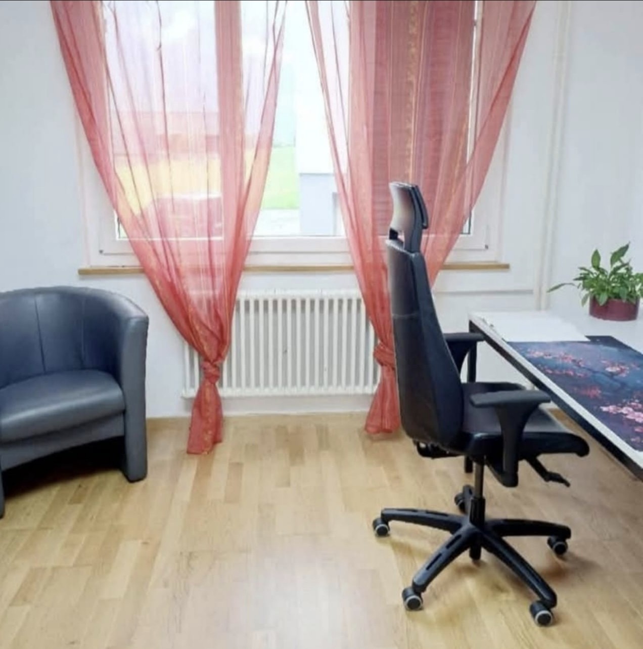 3 ½ rooms apartment, Foto 5 von 8