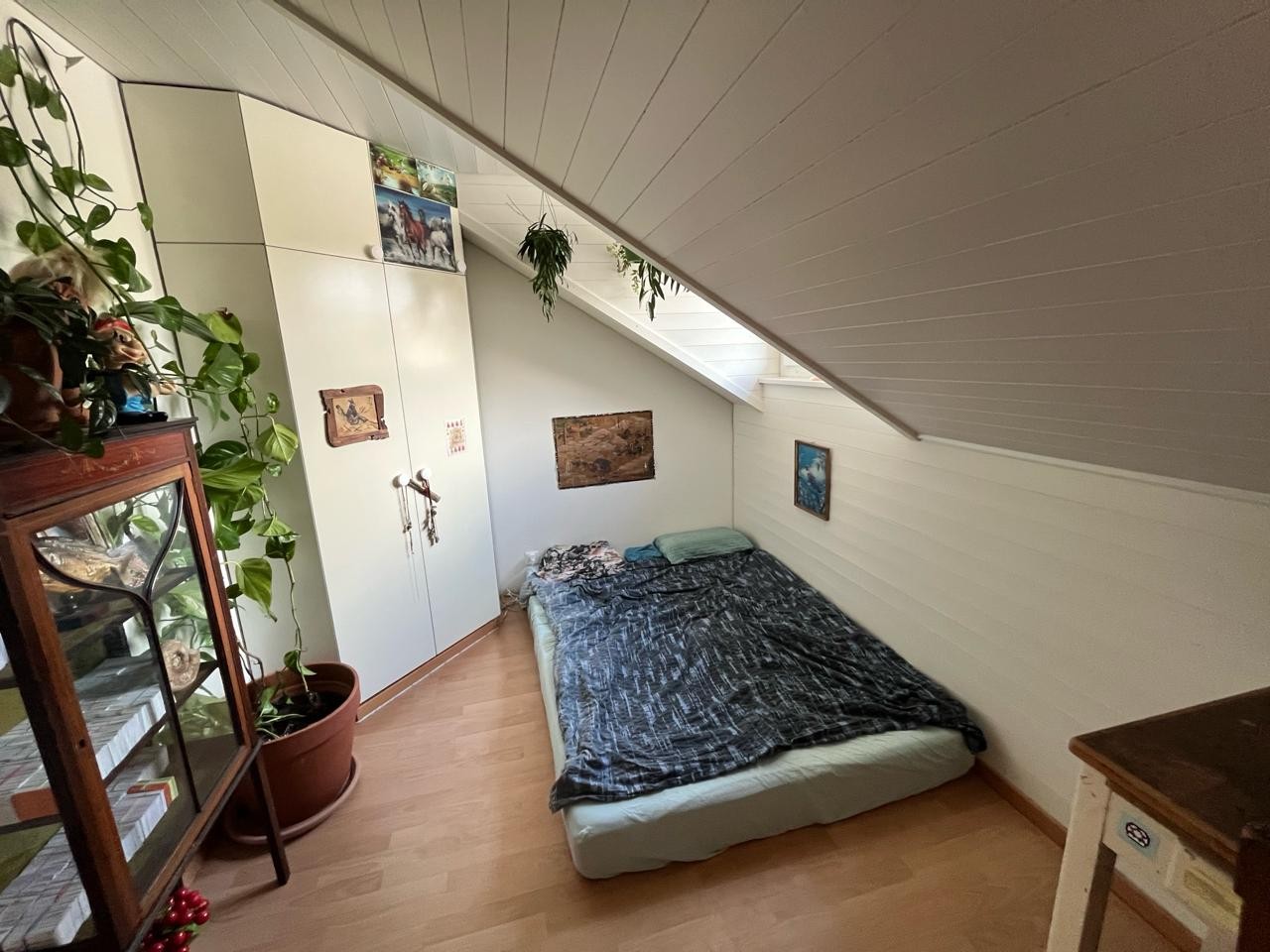 Room in a shared flat, Foto 3 von 8