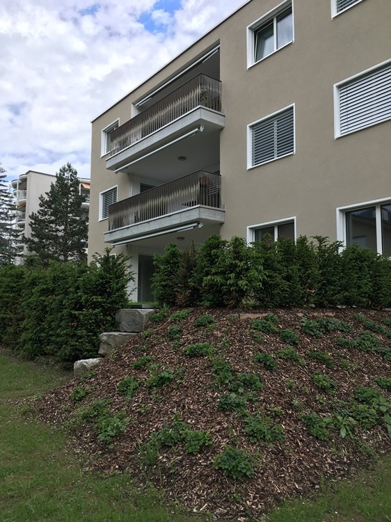 Appartamento di 4 ½ locali (4)