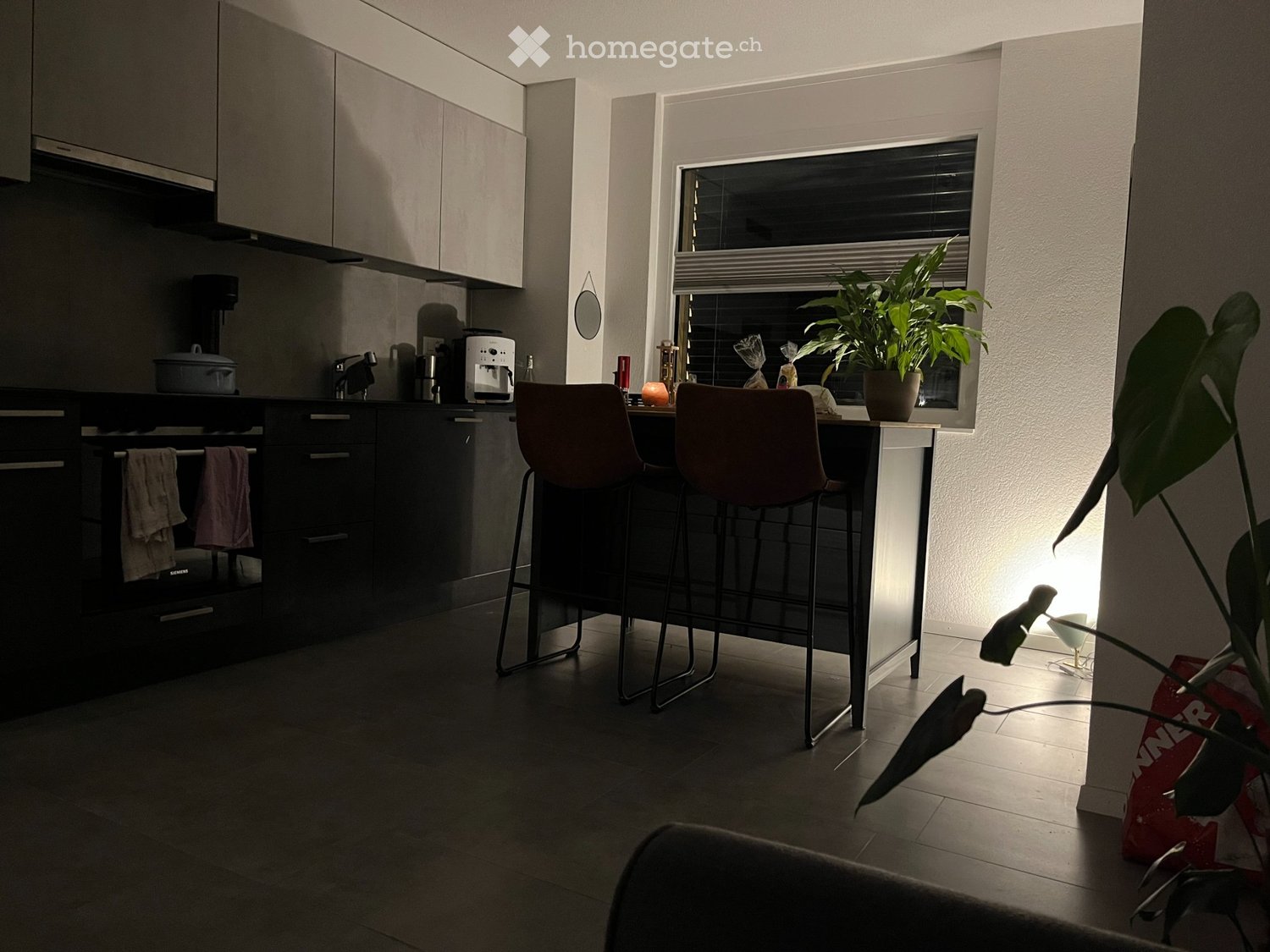 2 ½ Zimmer-Wohnung