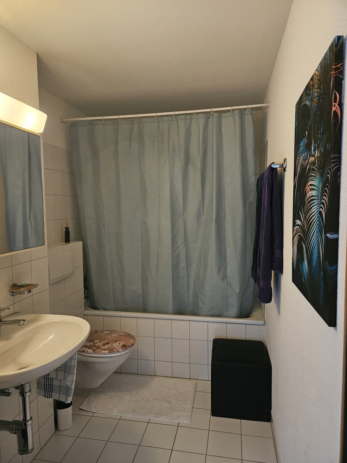 Appartement de 3 ½ pièces