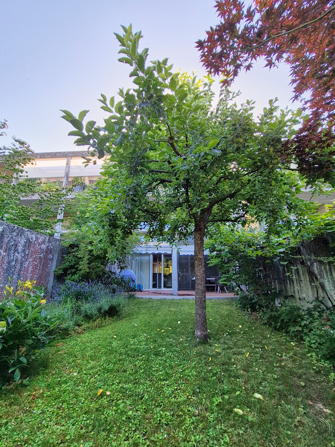 5 ½ rooms single house