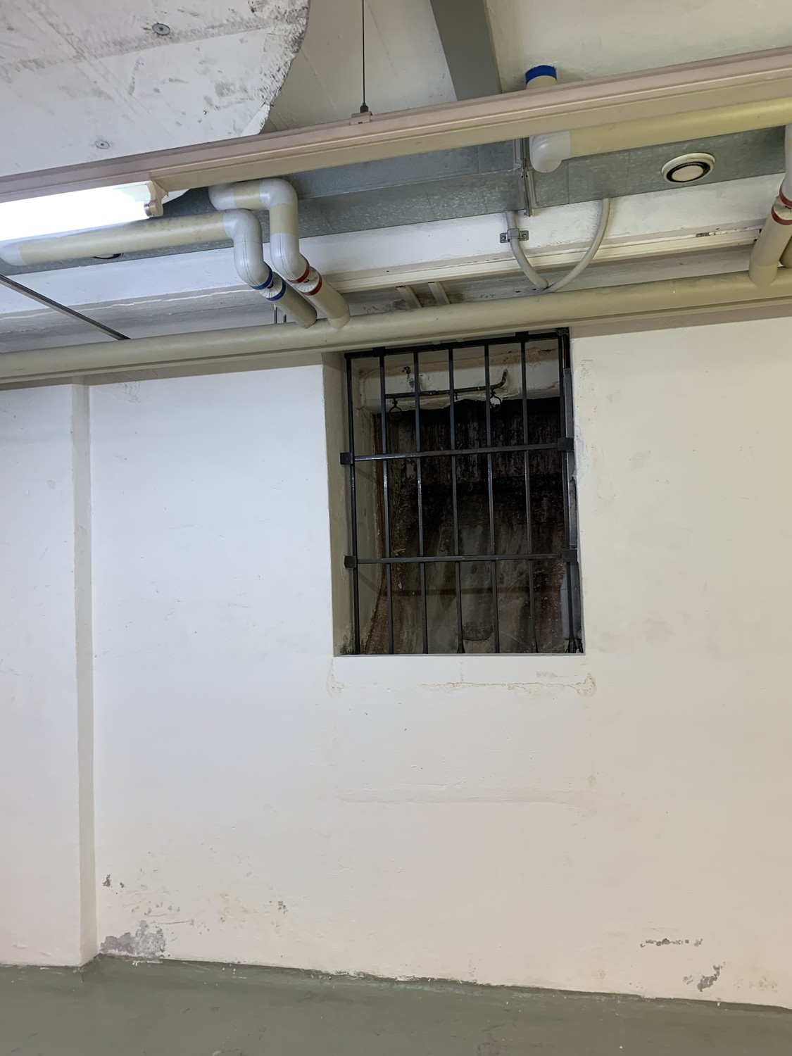 50m² cellar compartment