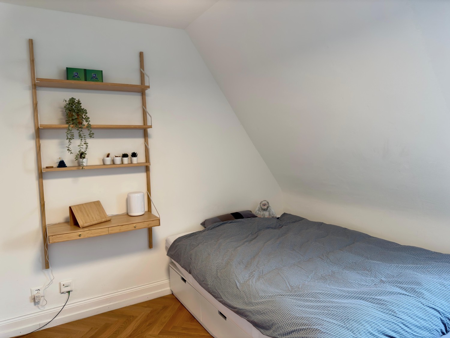 Room in a shared flat