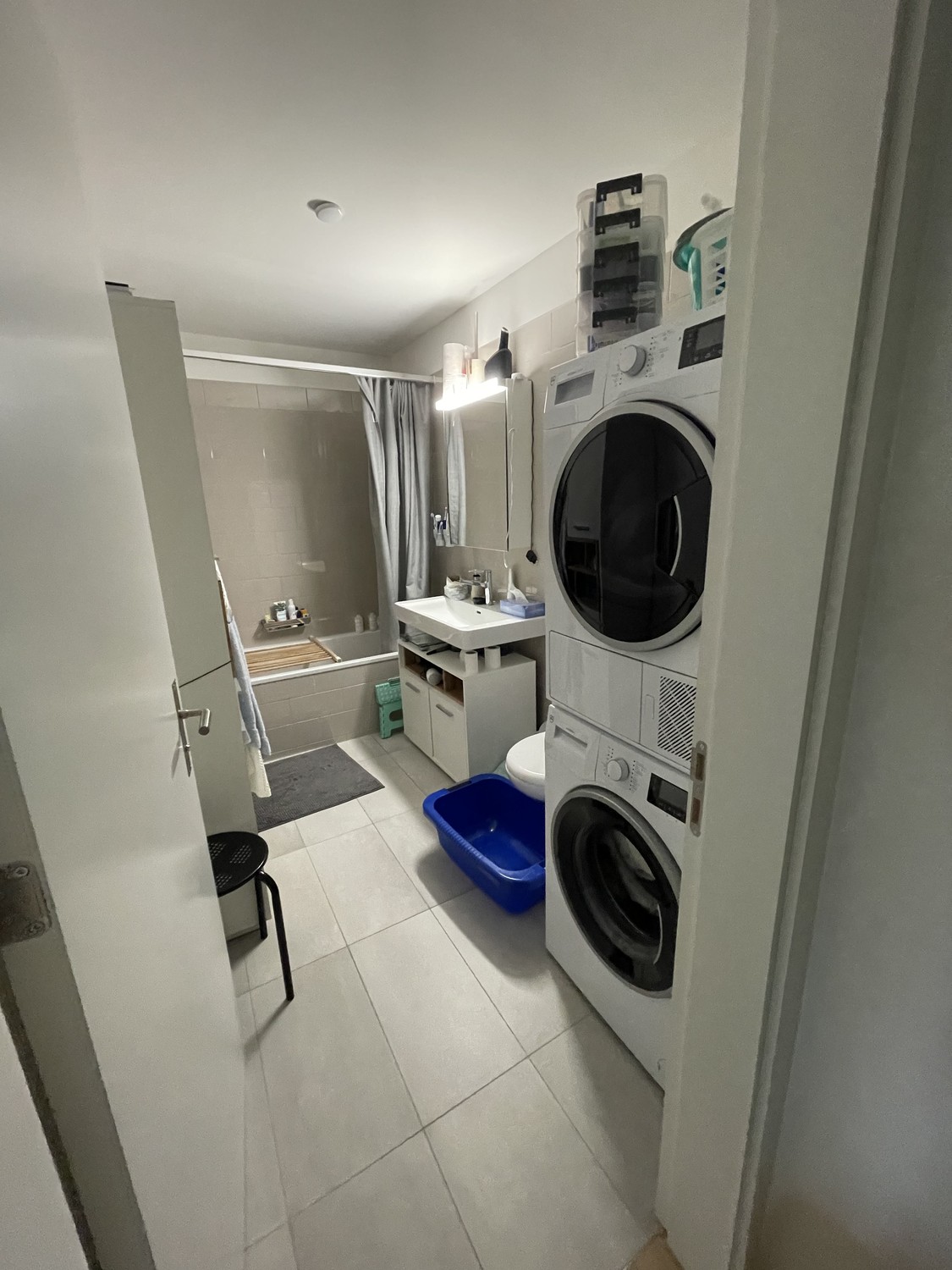 2 ½ Zimmer Wohnung