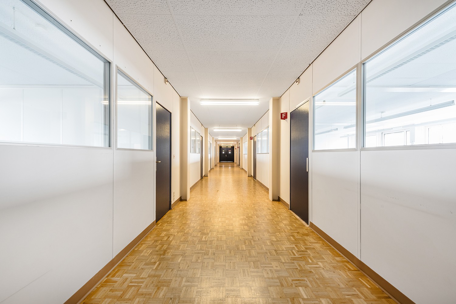 814m² office, Foto 6 von 10