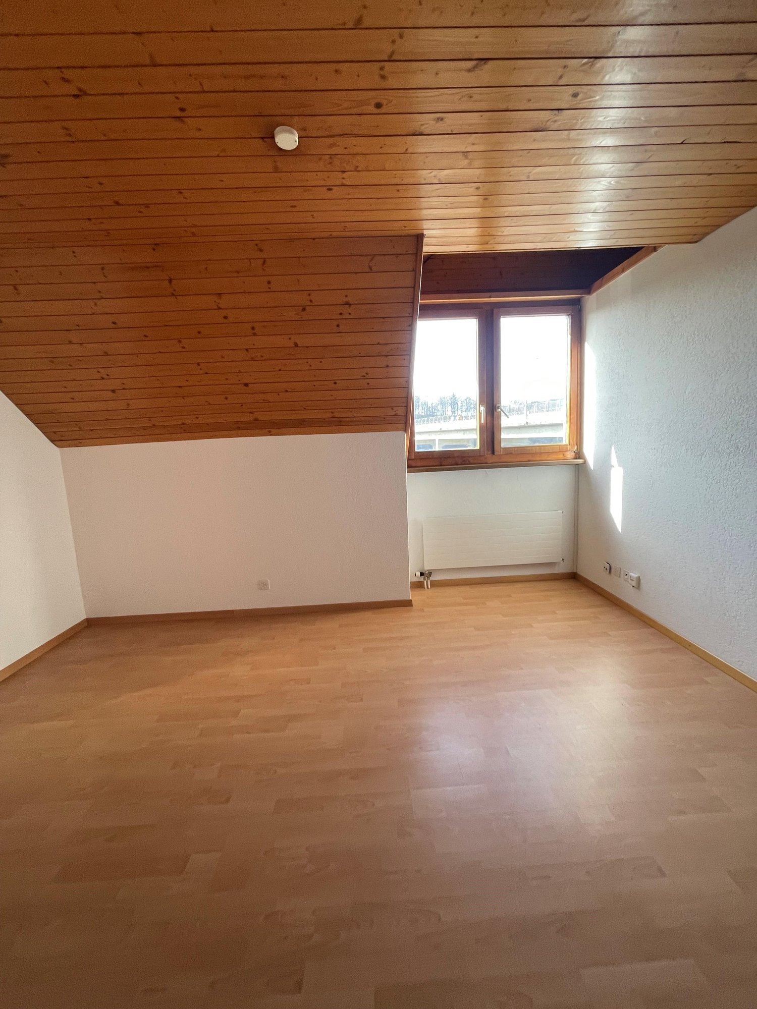 2 ½ pièces appartement
