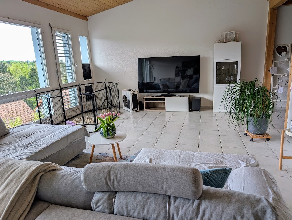 4 ½ rooms single house