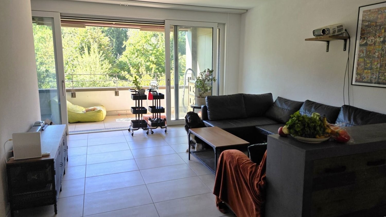 3 ½ rooms apartment
