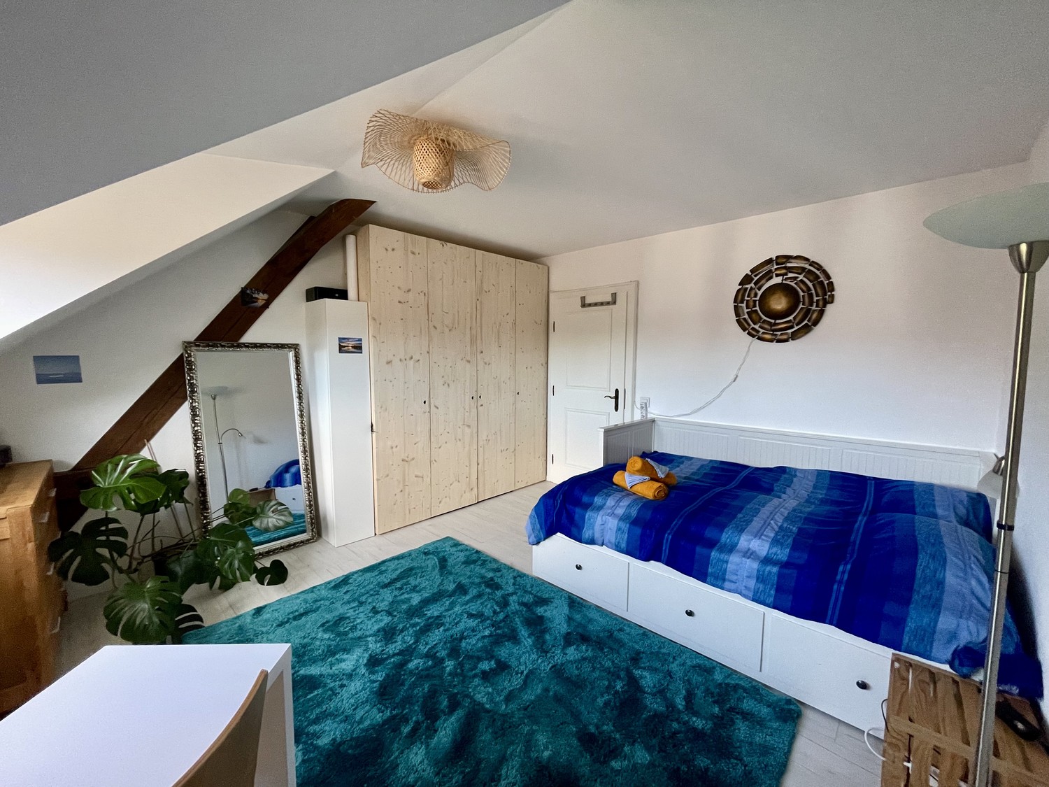 Room in a shared flat