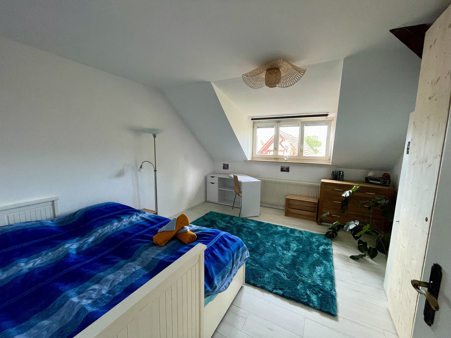 Room in a shared flat
