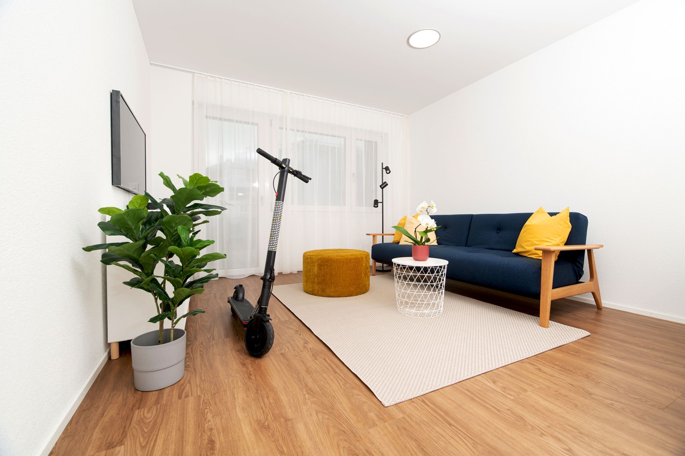 2 ½ pièces appartement meublé