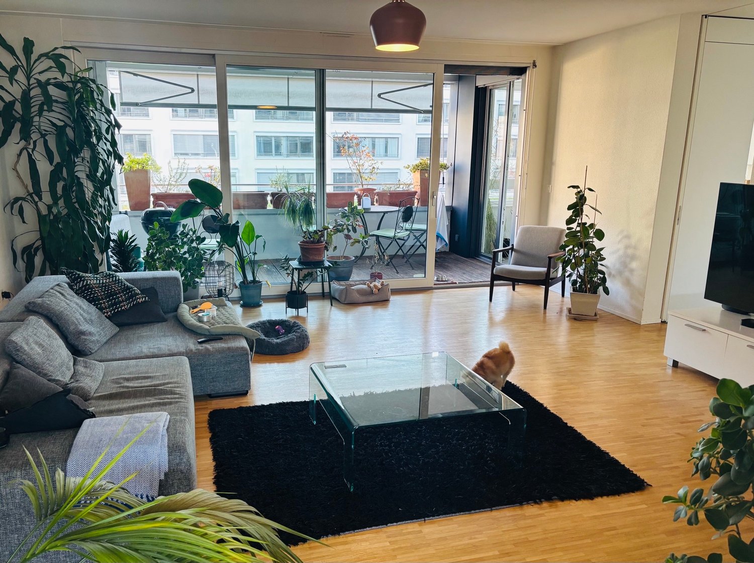 Room in a shared flat, Foto 7 von 10